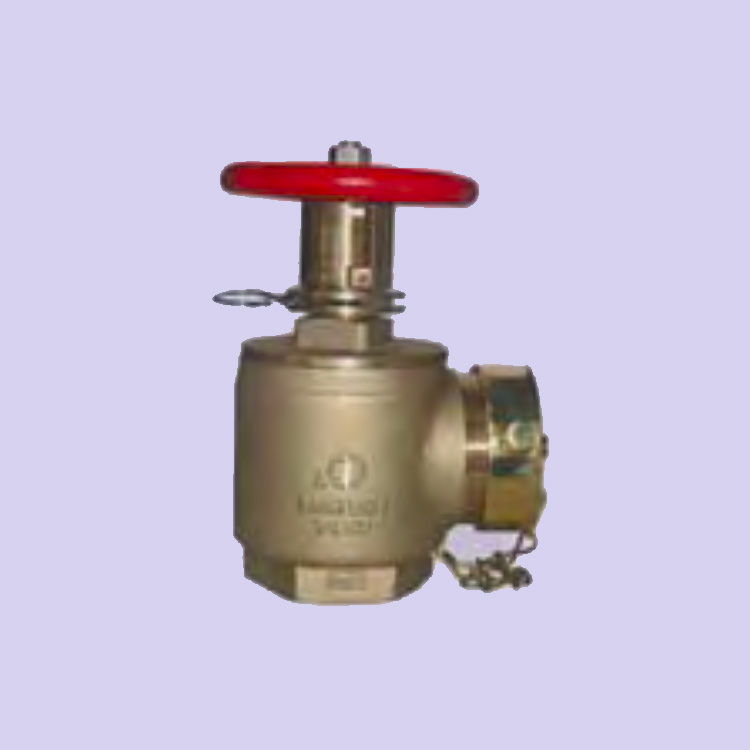 PRESSURE RESTRICTING ANGLE VALVES ADJUSTABLE (FxM07 CD600) Progard